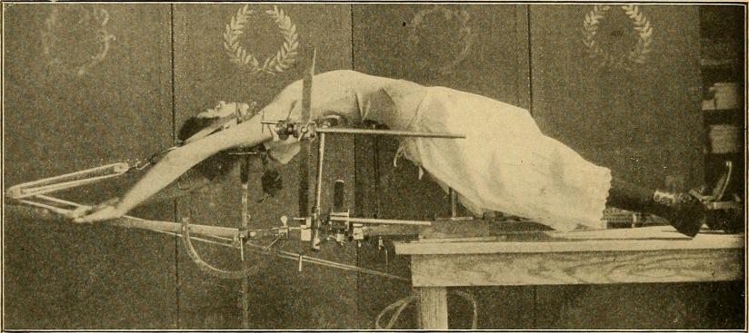 14784209605_4c25a99a82_o