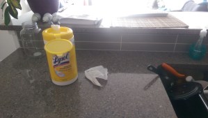 Everything about you disgusts me