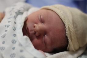 FB_IMG_1544232522897